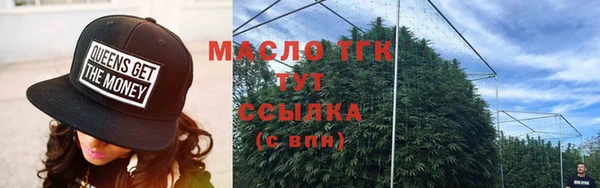 индика Баксан